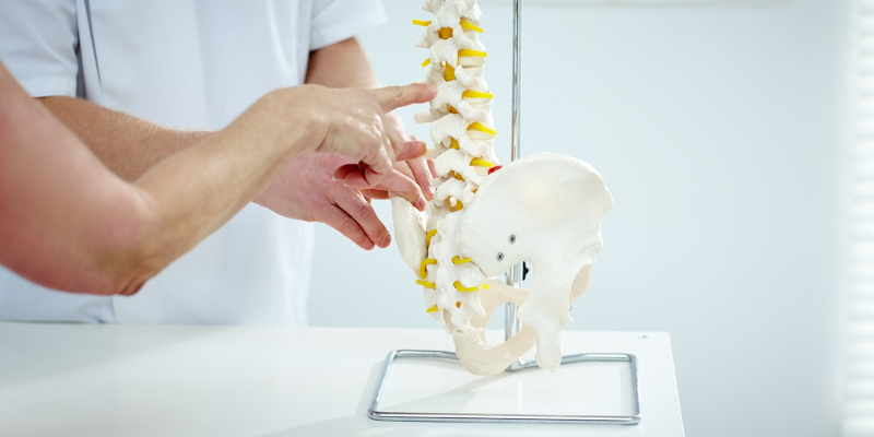 How Often Should You See a Chiropractor?